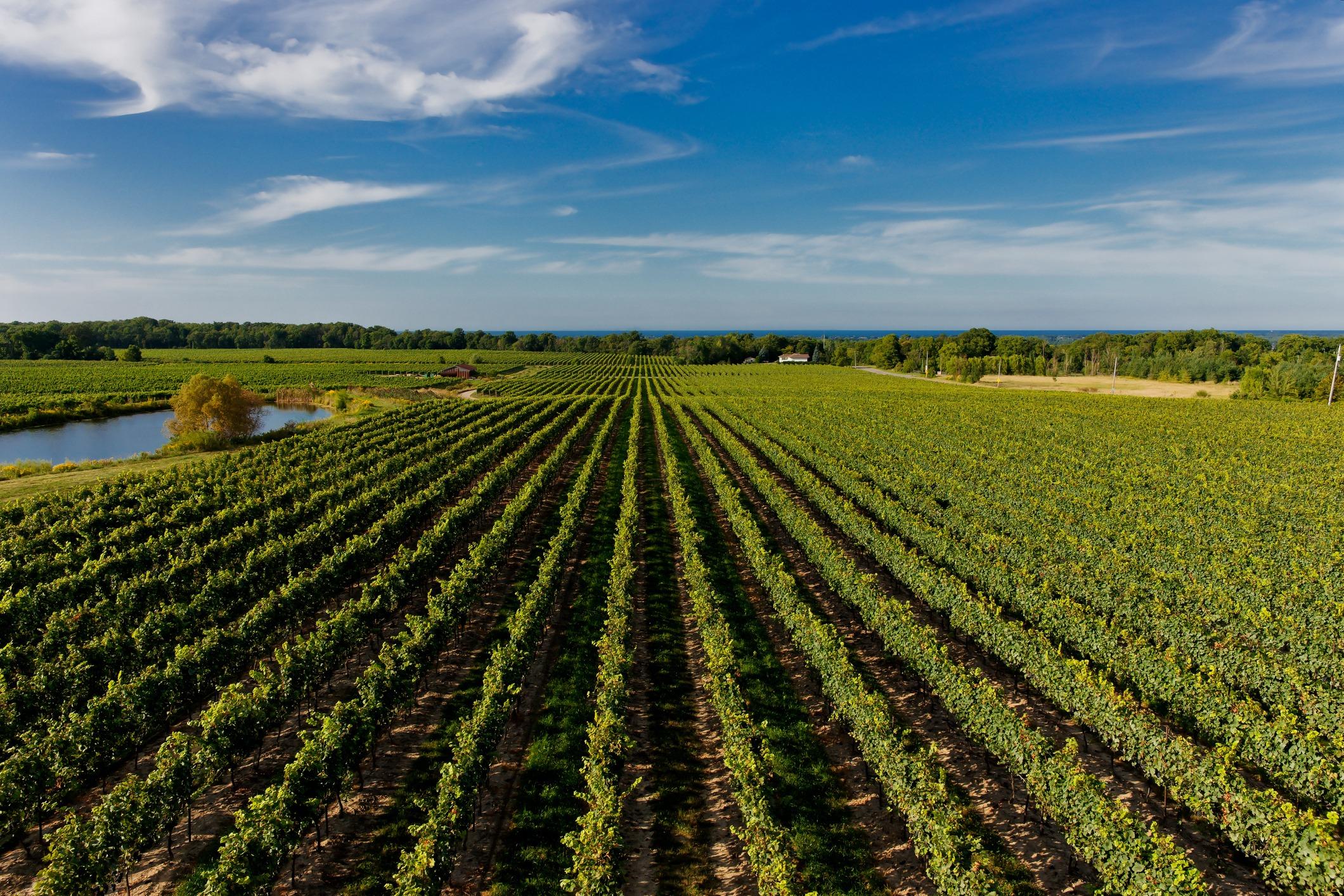 Farm land in North Shore Ontario