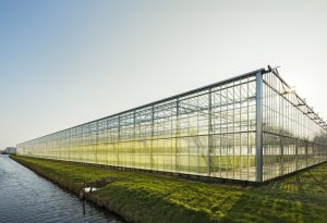 greenhouse
