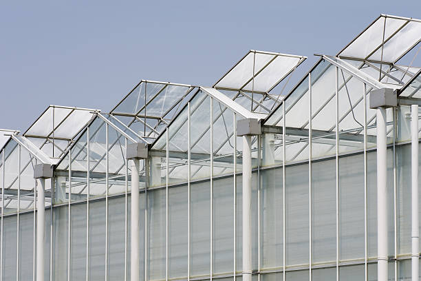 Background image of gutter connected greenhouse roofs open for ventilation.